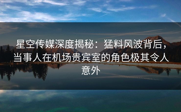 星空传媒深度揭秘：猛料风波背后，当事人在机场贵宾室的角色极其令人意外